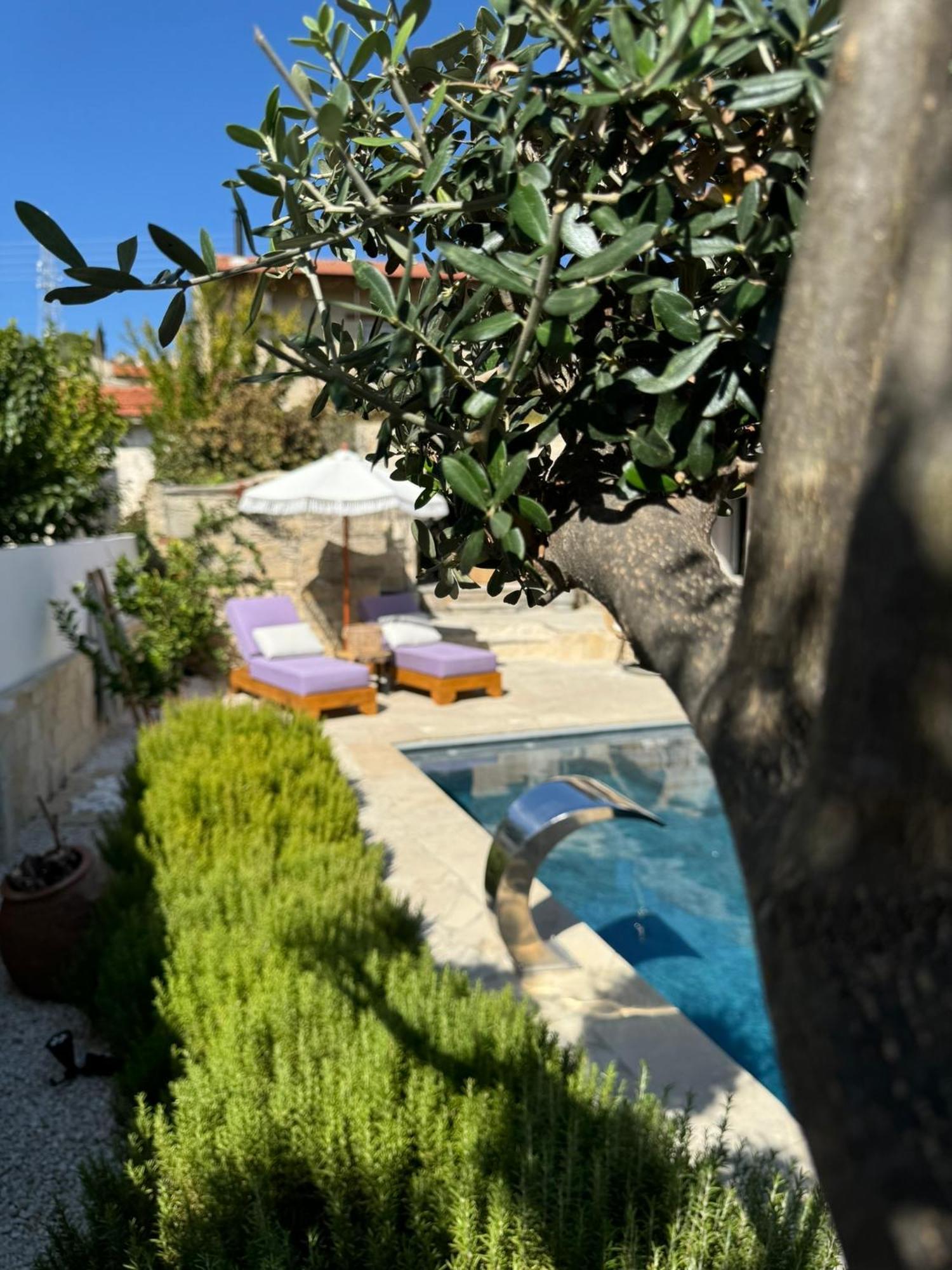 Fig&Olive Luxury One Bedroom Boutique In Pachna Limassol Extérieur photo